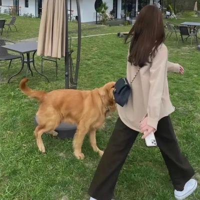烈火之前