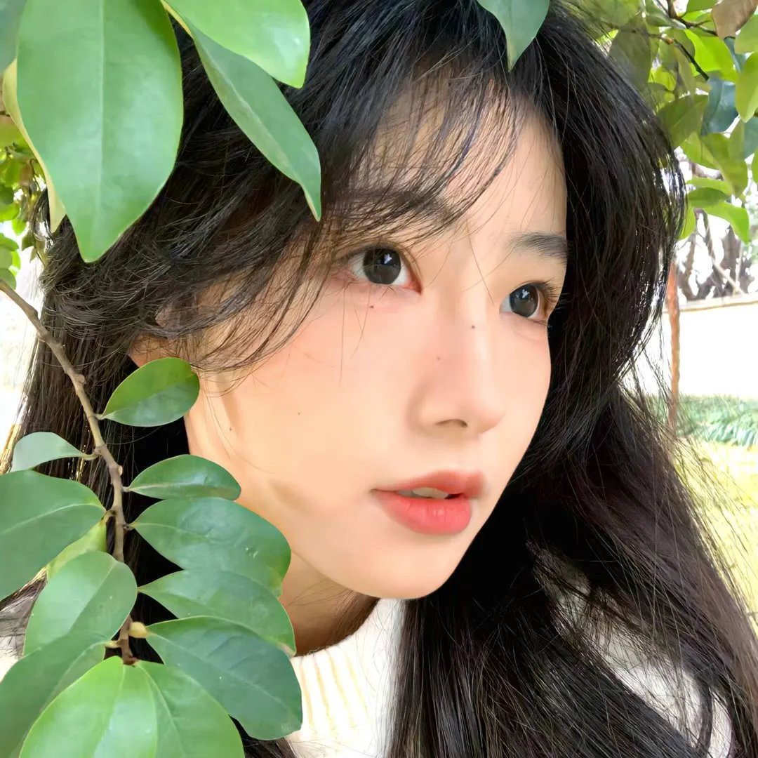 继承之战第一季